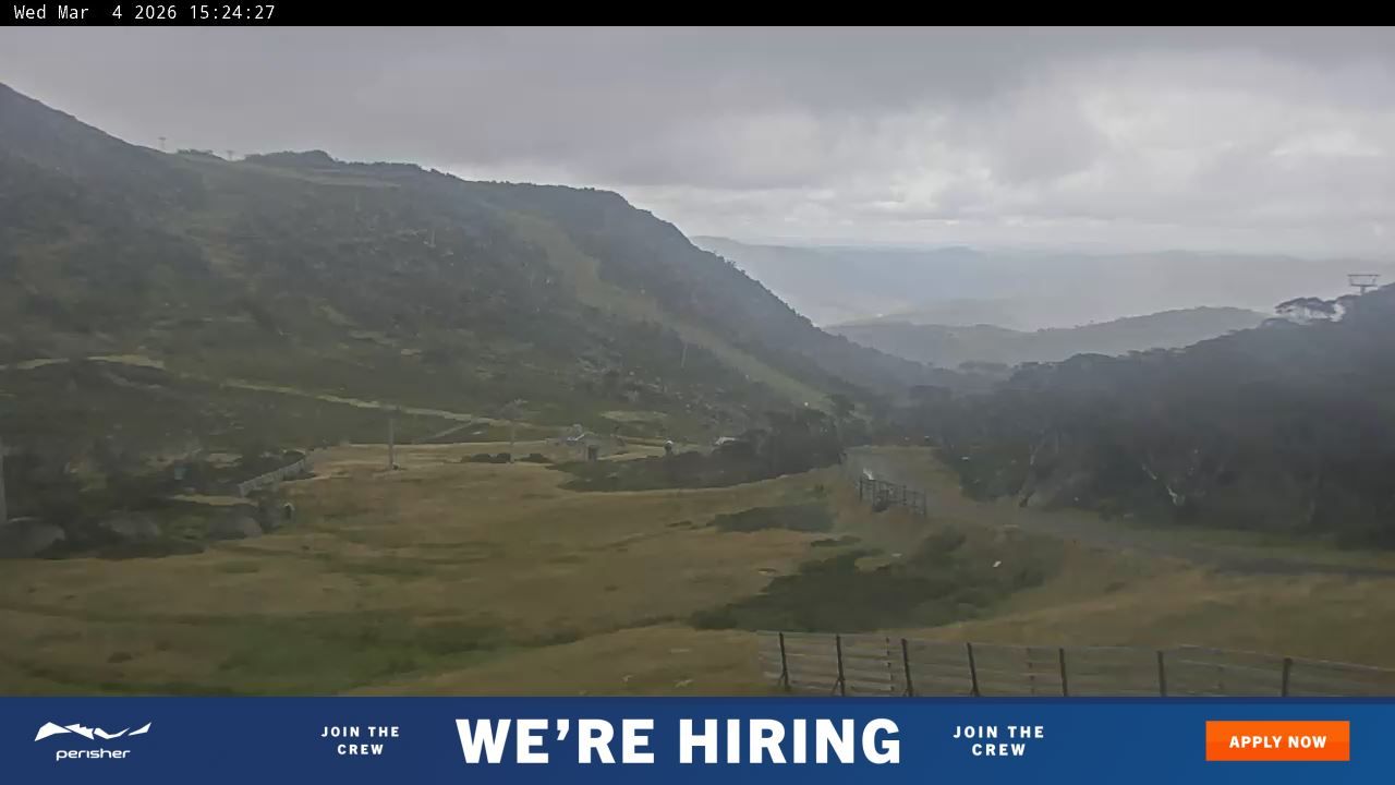 Webcam Perisher: Blue cow