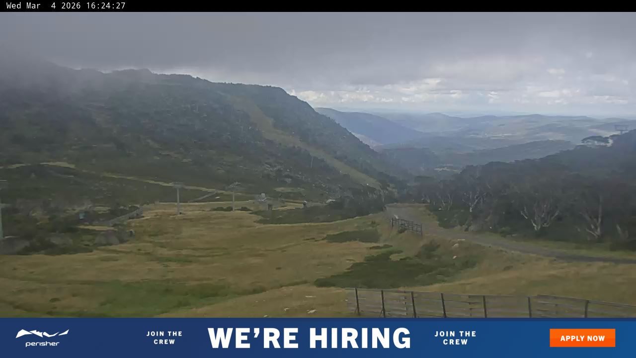 Webcam Perisher: Blue cow