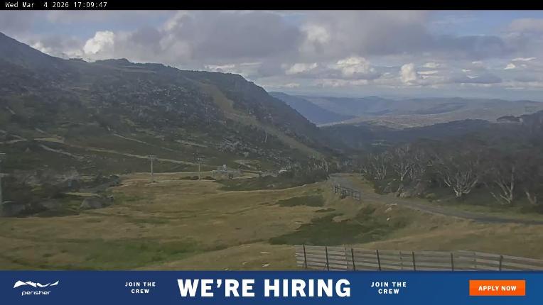 Webcam Perisher: Blue cow