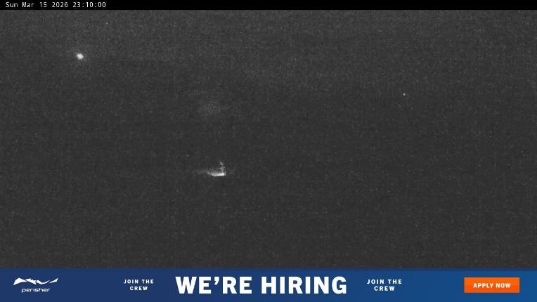 Webcam Perisher: Blue cow