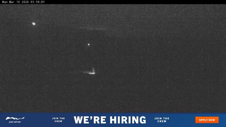 Webcam Perisher: Blue cow