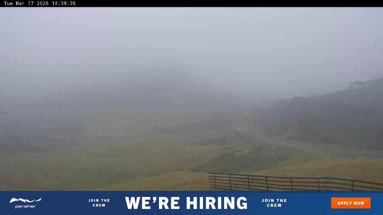 Webcam Perisher: Blue cow