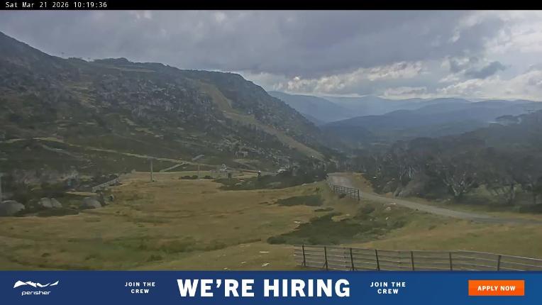 Webcam Perisher: Blue cow
