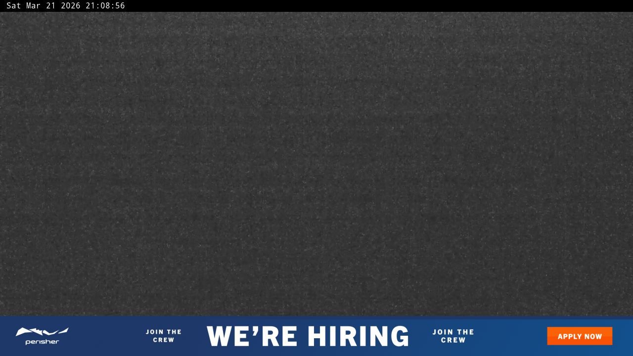 Webcam Perisher: Blue cow