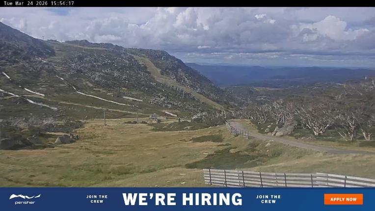 Webcam Perisher: Blue cow