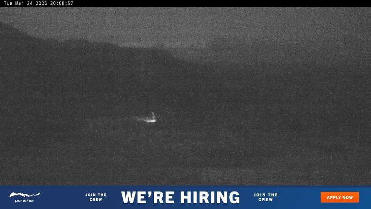 Webcam Perisher: Blue cow