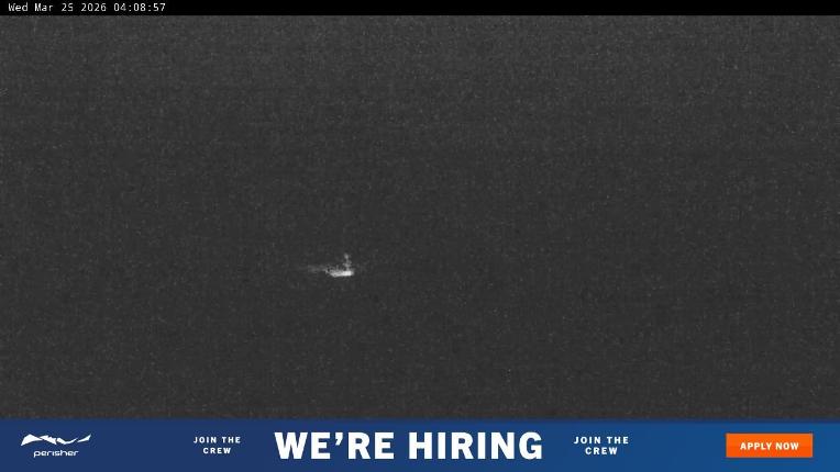 Webcam Perisher: Blue cow