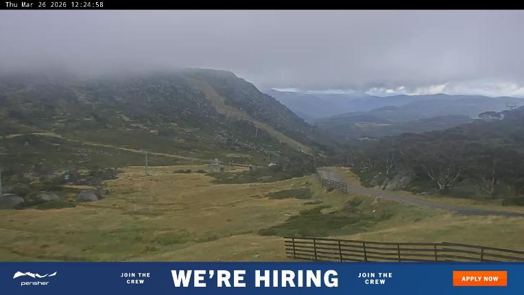 Webcam Perisher: Blue cow