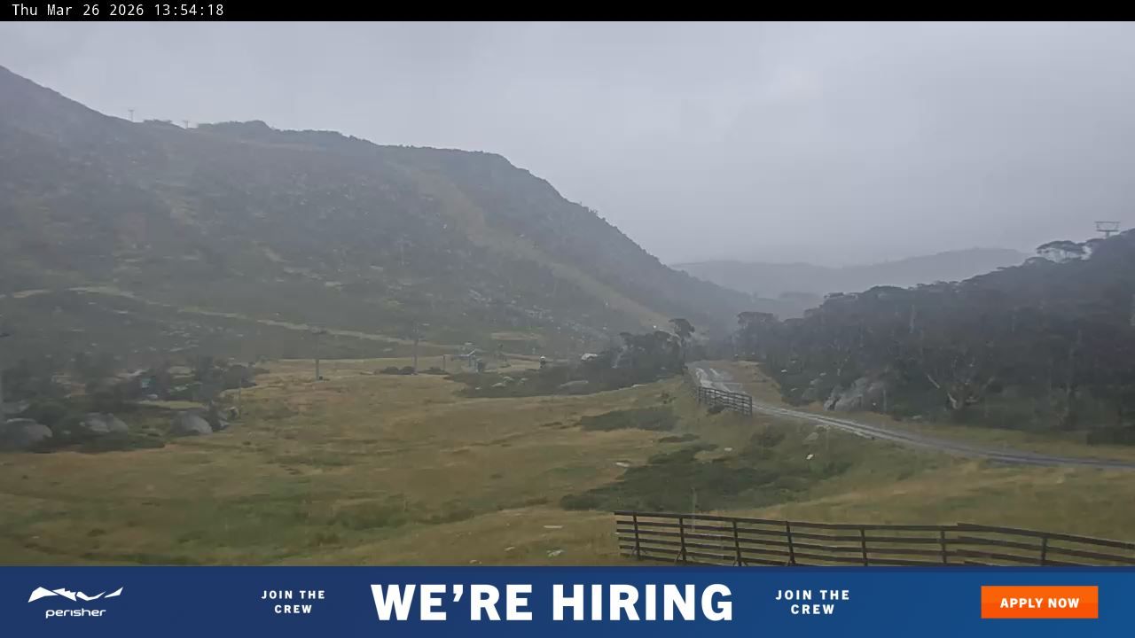 Webcam Perisher: Blue cow