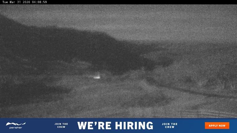 Webcam Perisher: Blue cow