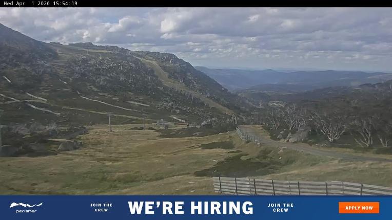 Webcam Perisher: Blue cow