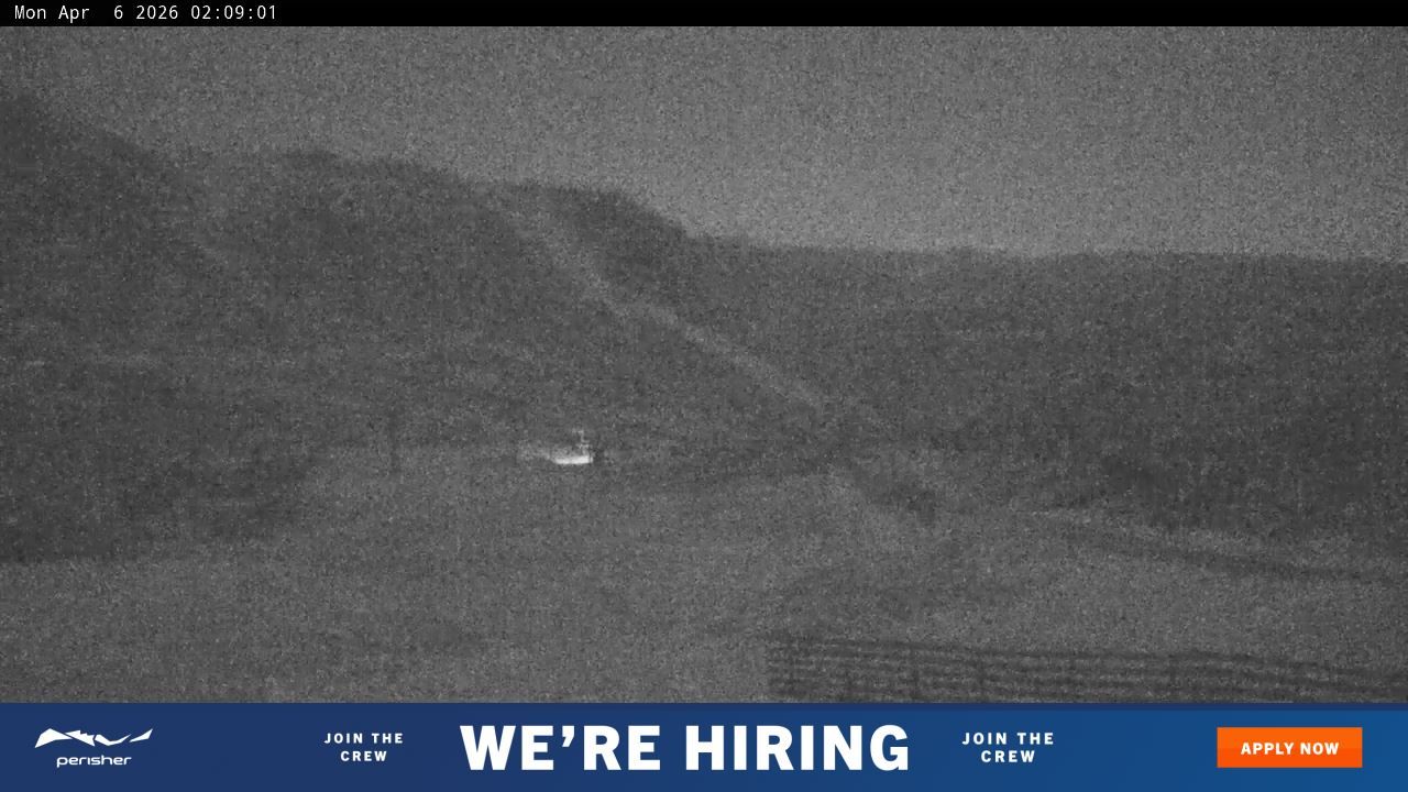 Webcam Perisher: Blue cow