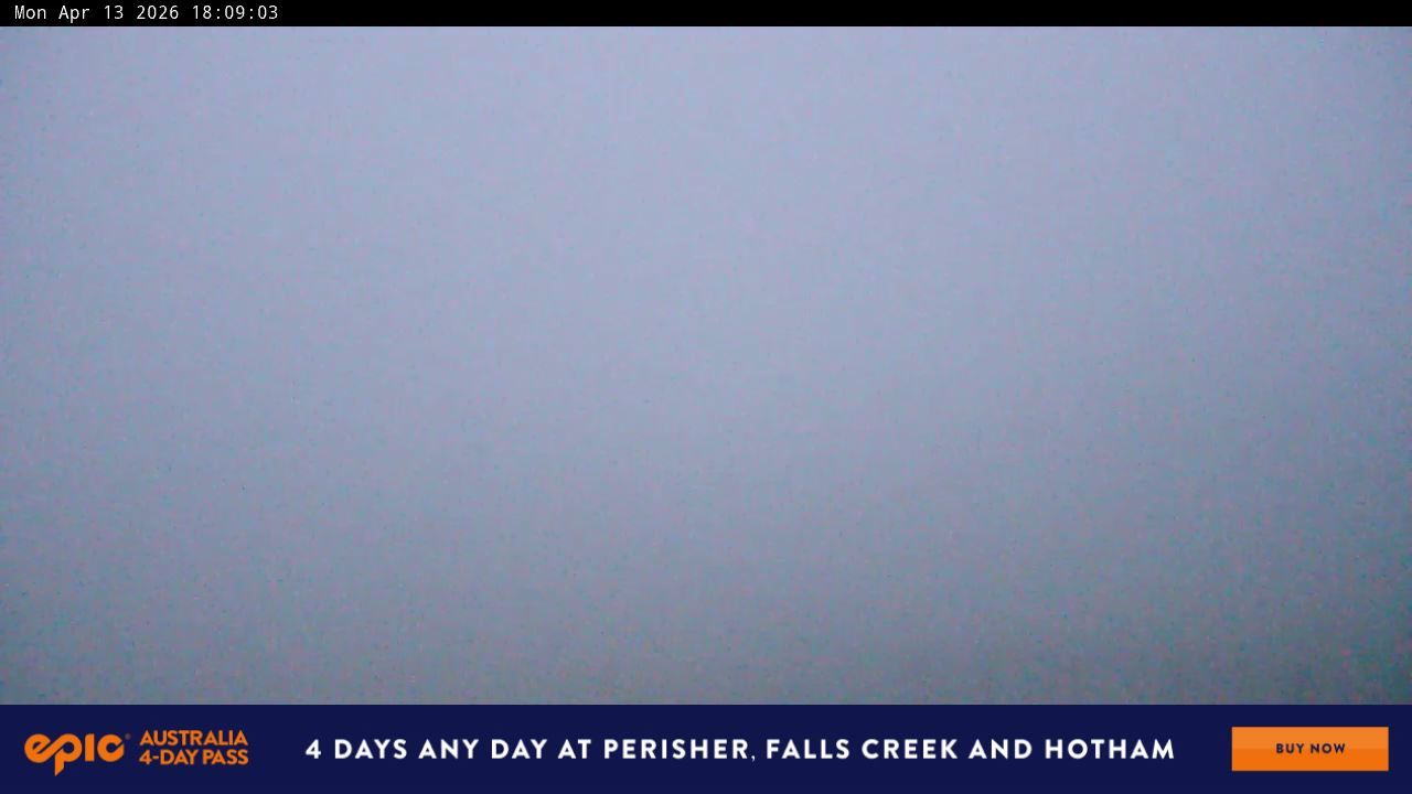 Webcam Perisher: Blue cow