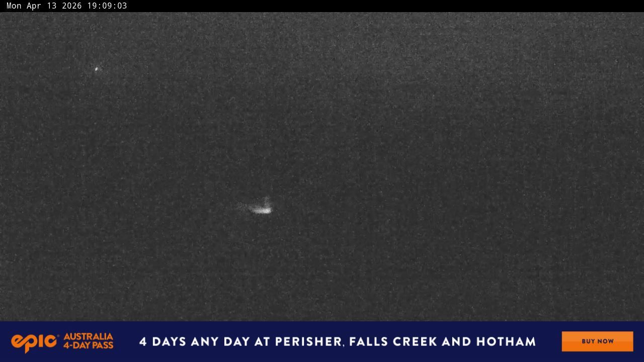 Webcam Perisher: Blue cow