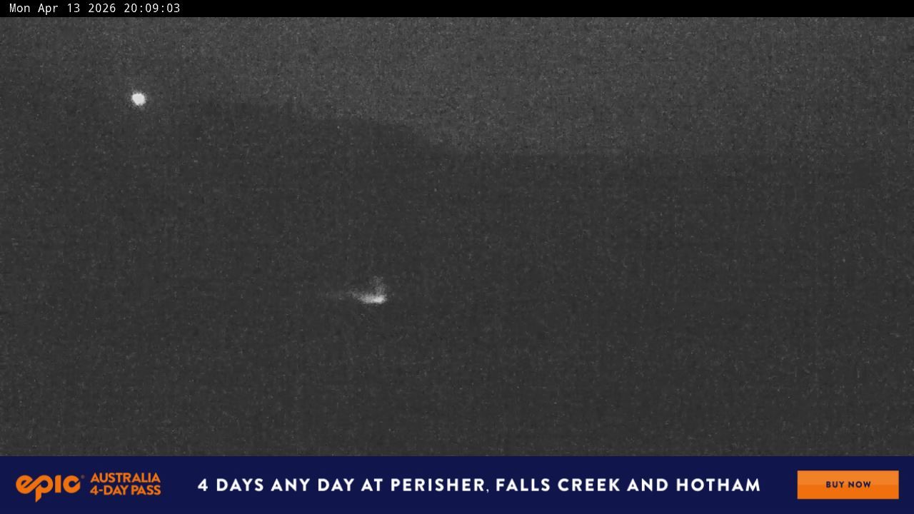 Webcam Perisher: Blue cow