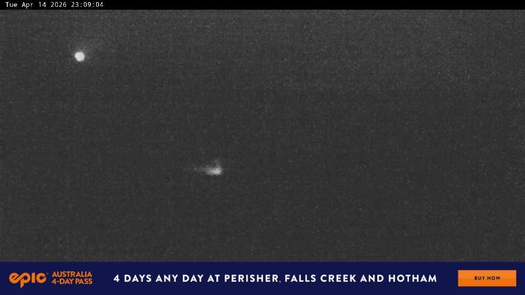 Webcam Perisher: Blue cow