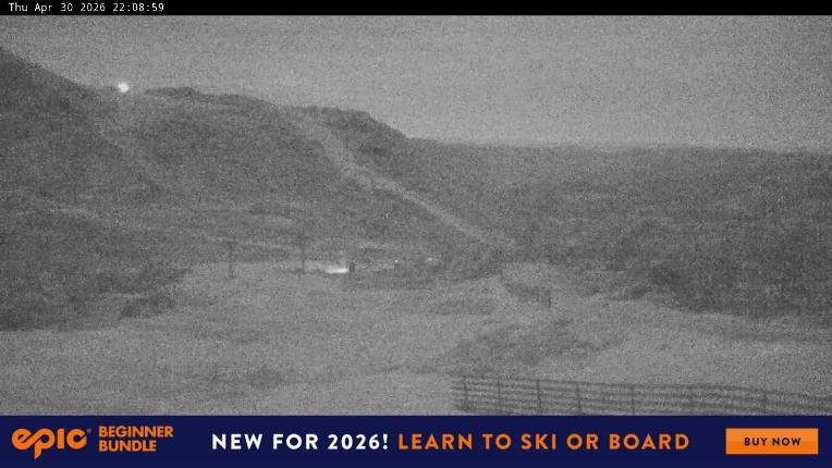 Webcam Perisher: Blue cow