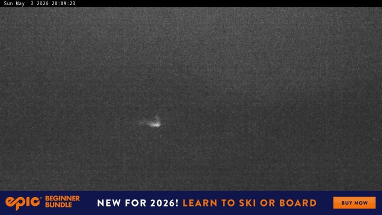 Webcam Perisher: Blue cow