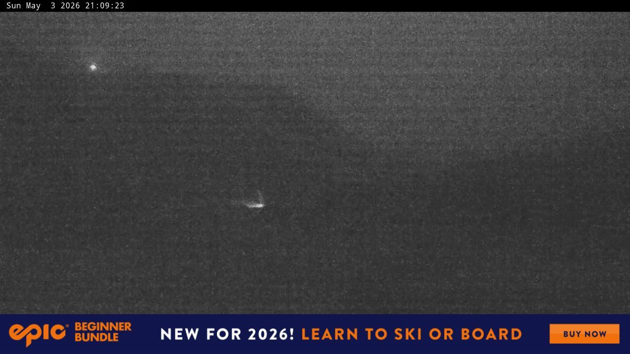 Webcam Perisher: Blue cow