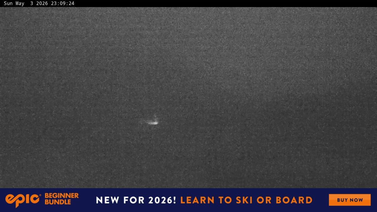 Webcam Perisher: Blue cow