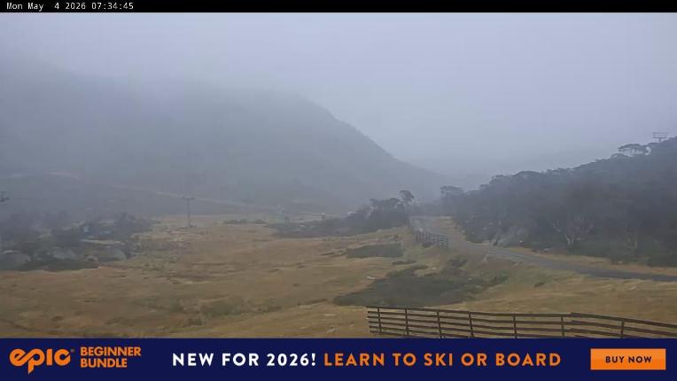 Webcam Perisher: Blue cow