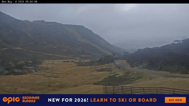 Webcam Perisher: Blue cow