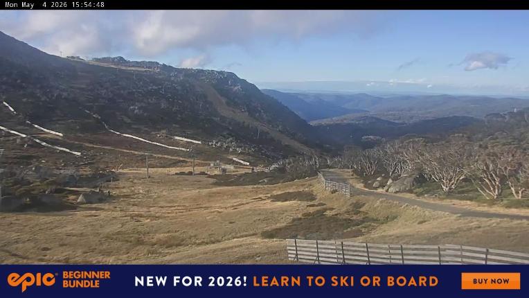Webcam Perisher: Blue cow
