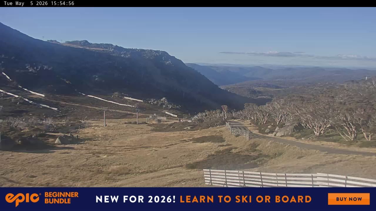 Webcam Perisher: Blue cow