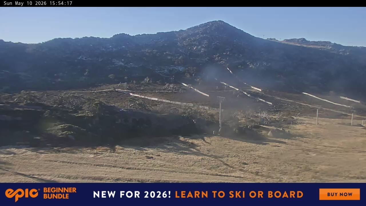 Webcam Perisher: Blue cow