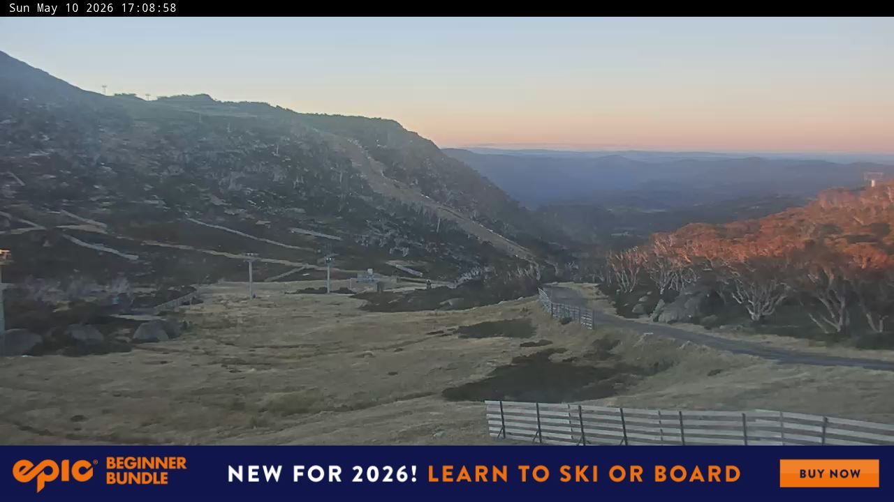 Webcam Perisher: Blue cow