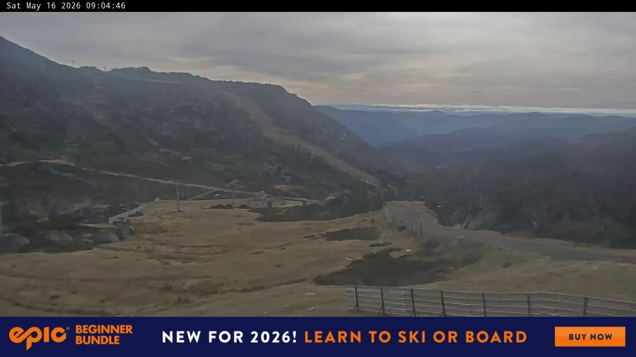 Webcam Perisher: Blue cow