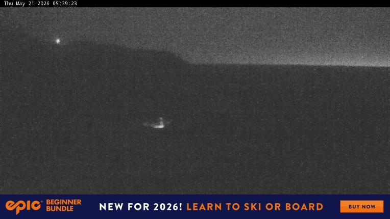 Webcam Perisher: Blue cow