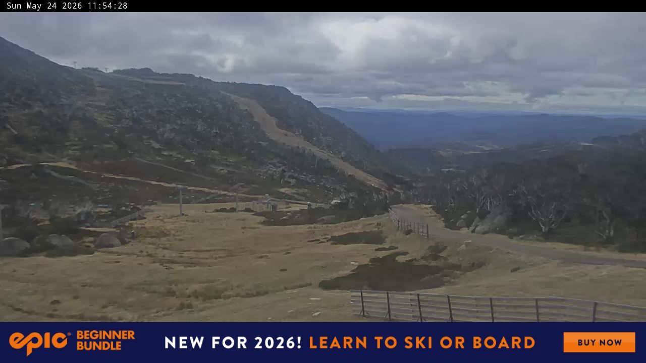 Webcam Perisher: Blue cow