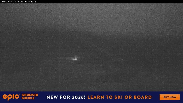 Webcam Perisher: Blue cow