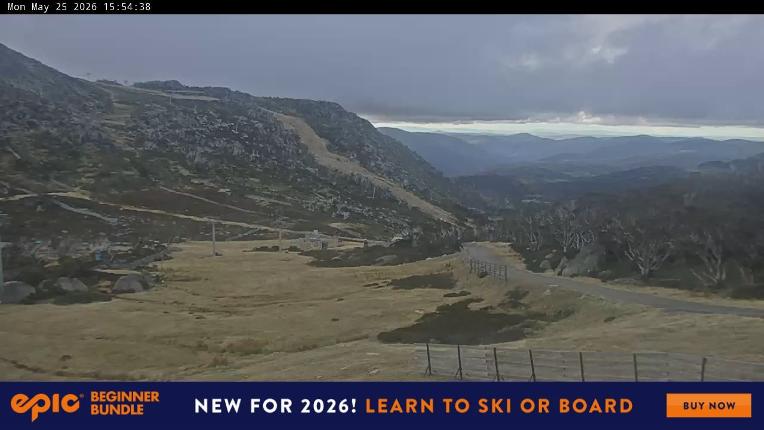 Webcam Perisher: Blue cow
