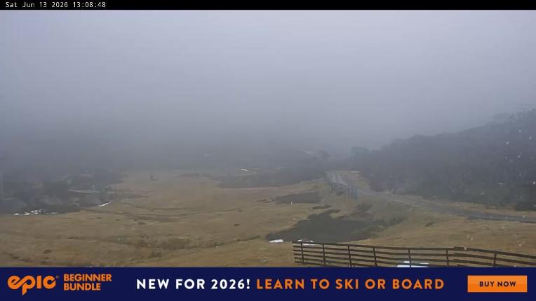 Webcam Perisher: Blue cow