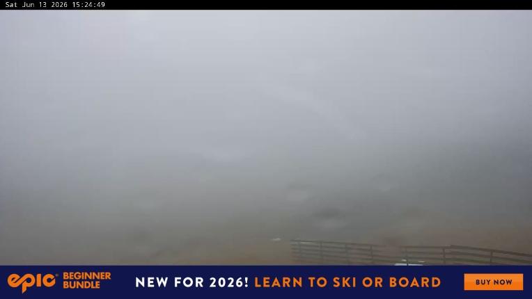 Webcam Perisher: Blue cow