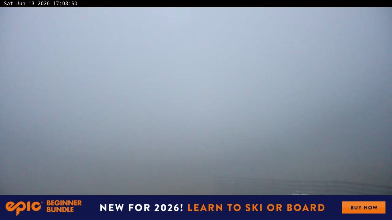 Webcam Perisher: Blue cow