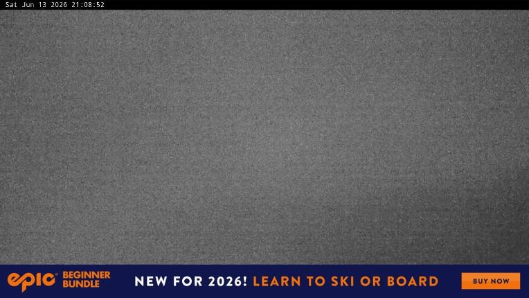 Webcam Perisher: Blue cow