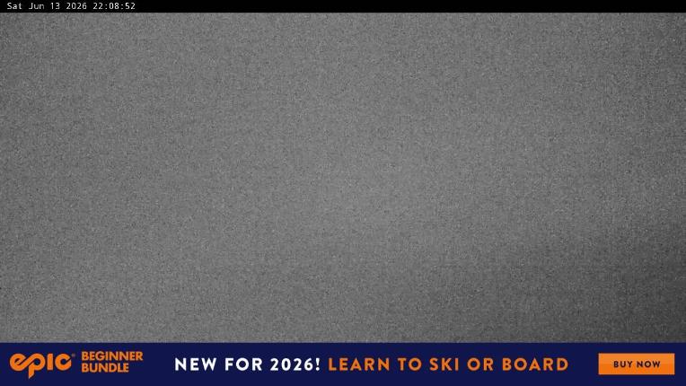 Webcam Perisher: Blue cow