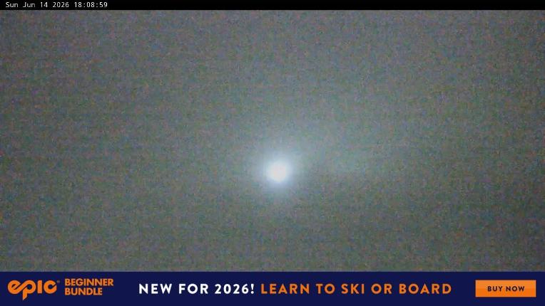 Webcam Perisher: Blue cow