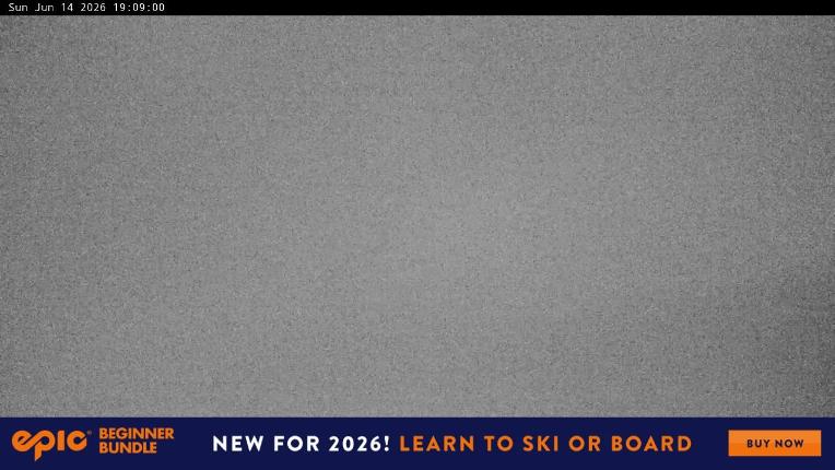Webcam Perisher: Blue cow
