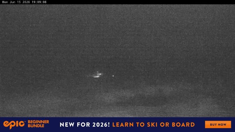 Webcam Perisher: Blue cow