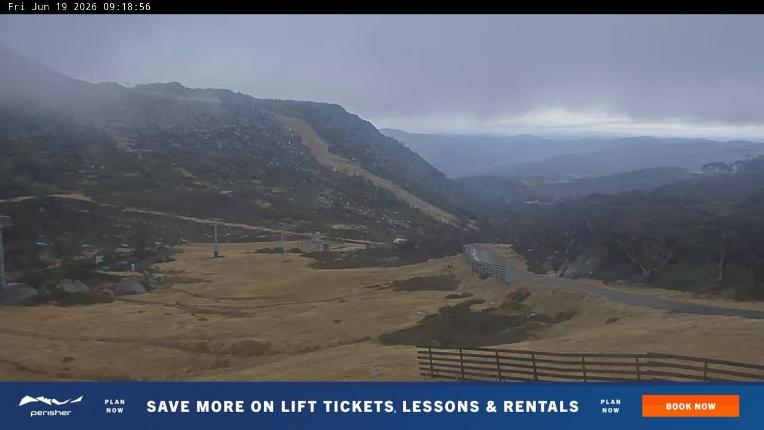 Webcam Perisher: Blue cow