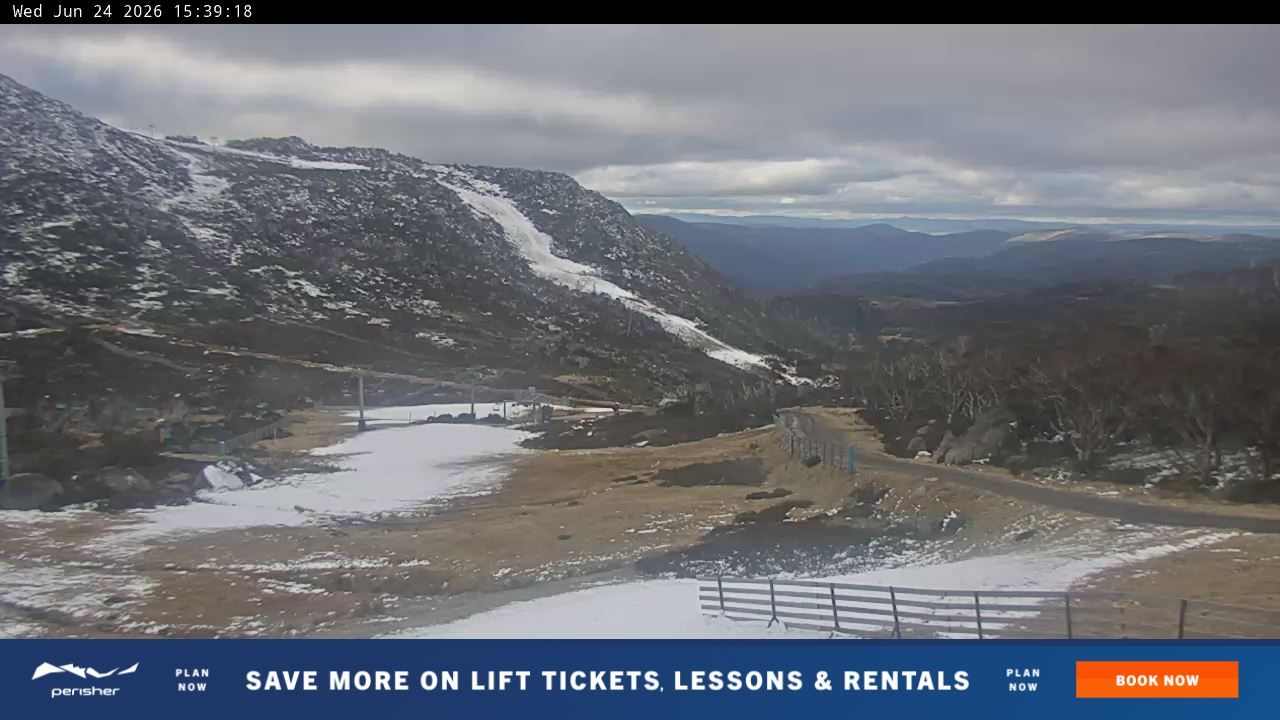Webcam Perisher: Blue cow