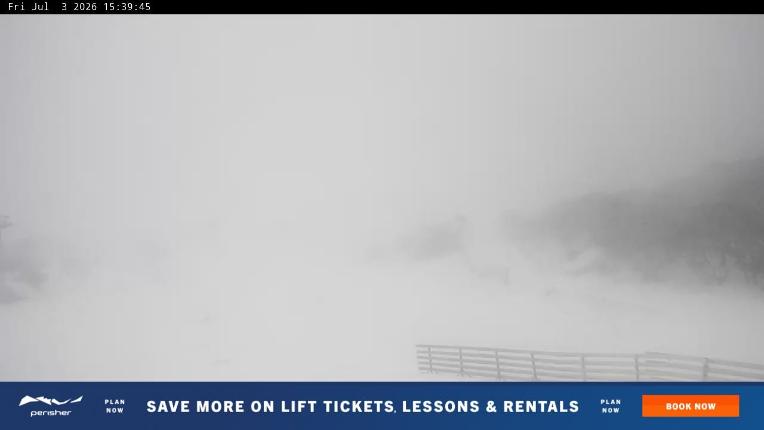 Webcam Perisher: Blue cow
