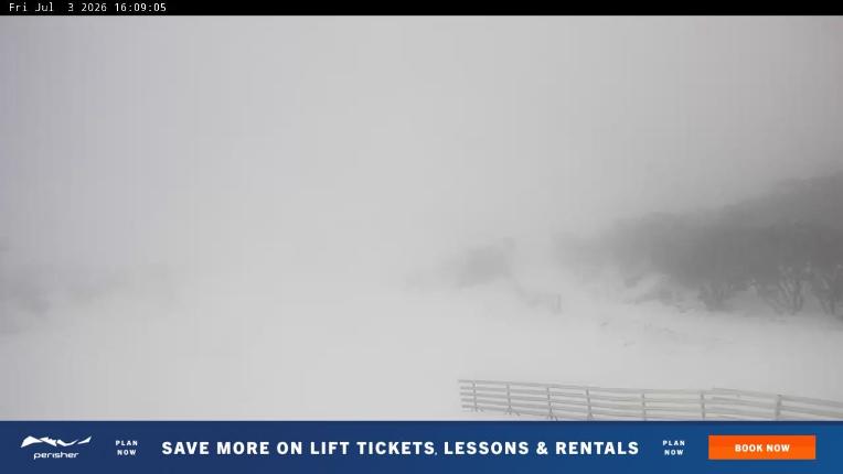 Webcam Perisher: Blue cow