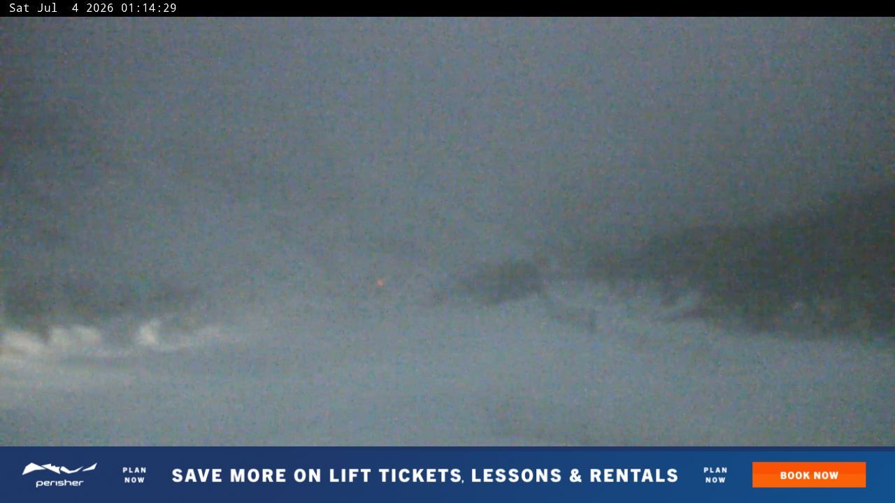 Webcam Perisher: Blue cow