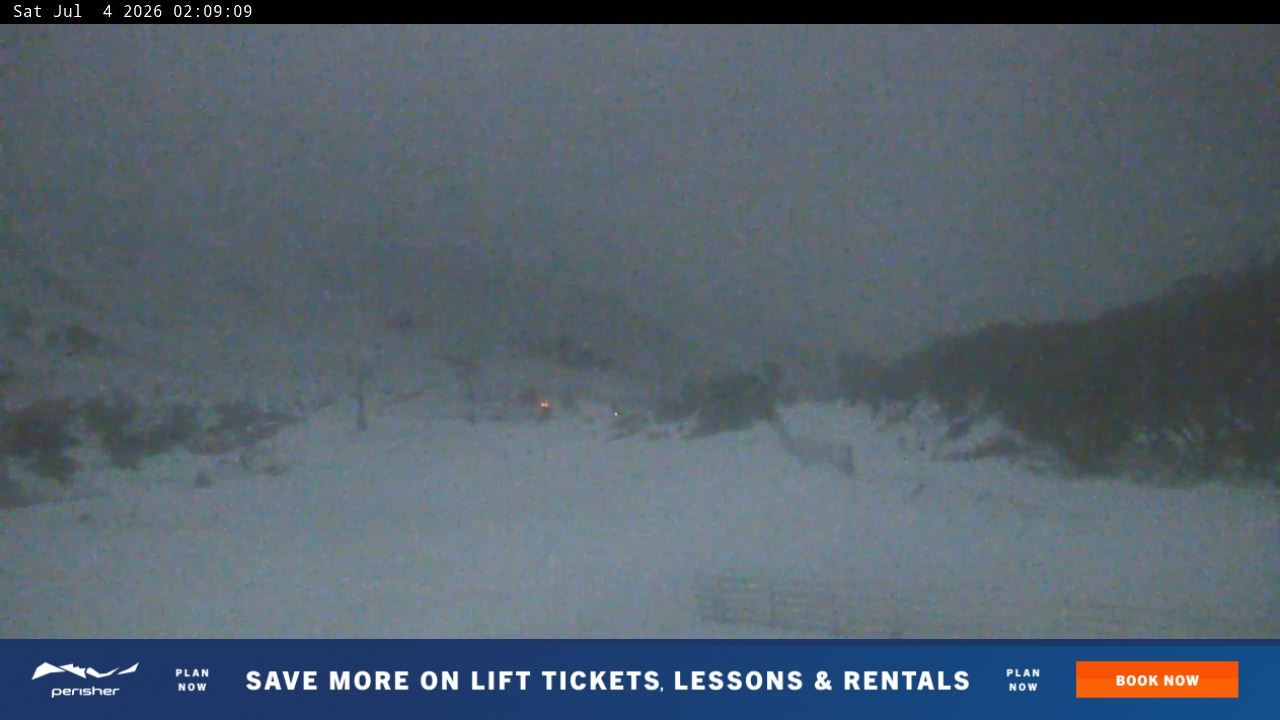 Webcam Perisher: Blue cow
