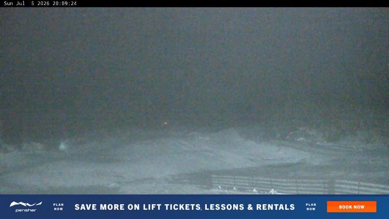 Webcam Perisher: Blue cow